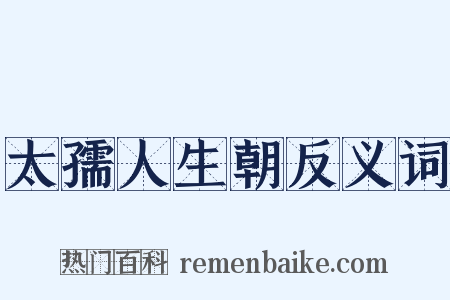 太孺人生朝反义词是什么意思的图片